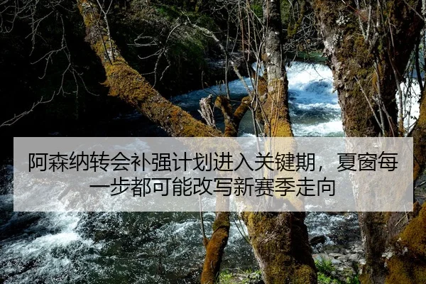 阿森纳转会补强计划进入关键期，夏窗每一步都可能改写新赛季走向